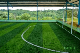 Sago Nauli Futsal